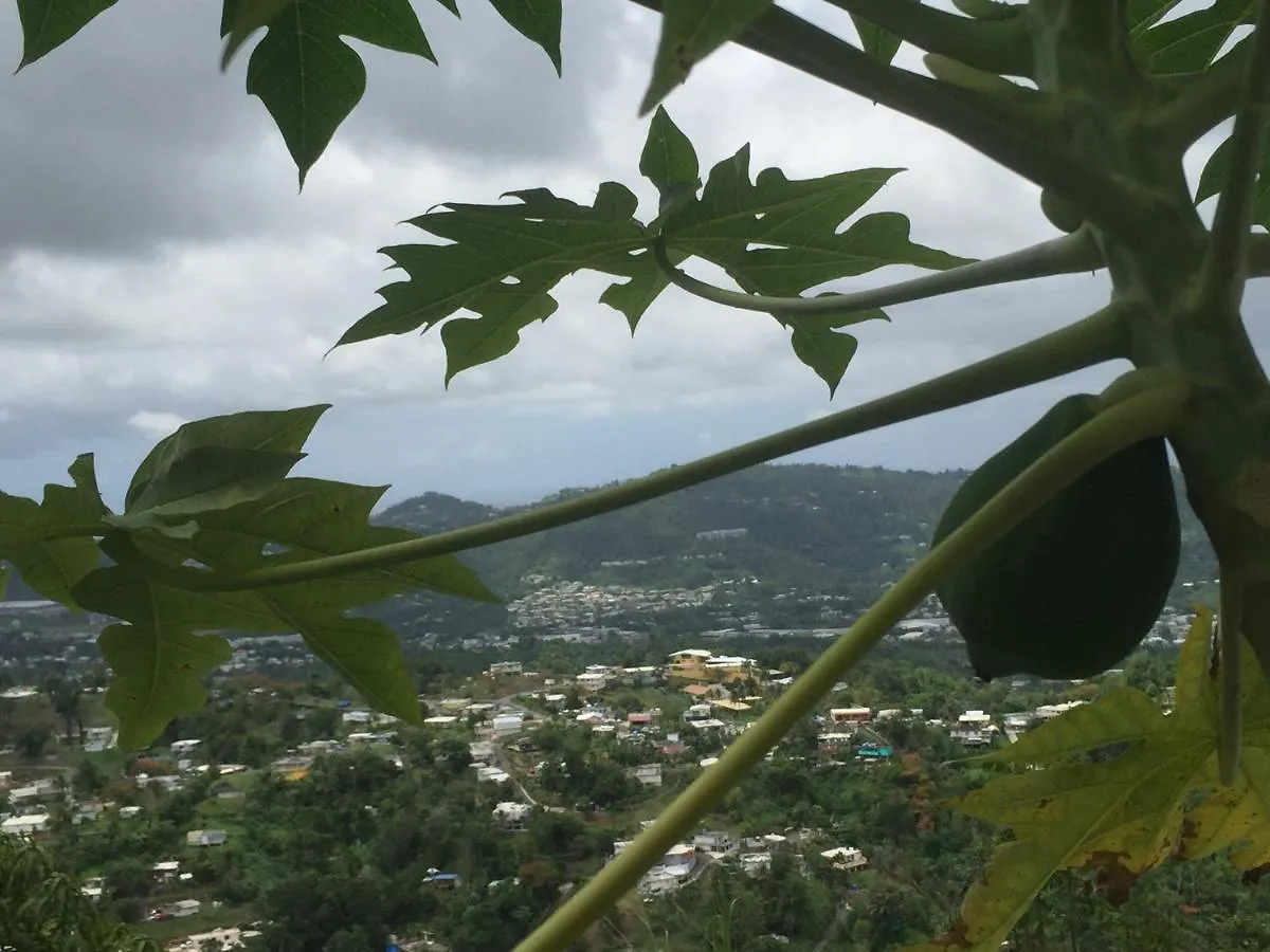 Campsite Camping Para Dos - A Escoger Segun Disponibilidad De Caseta O Cabana Caguas