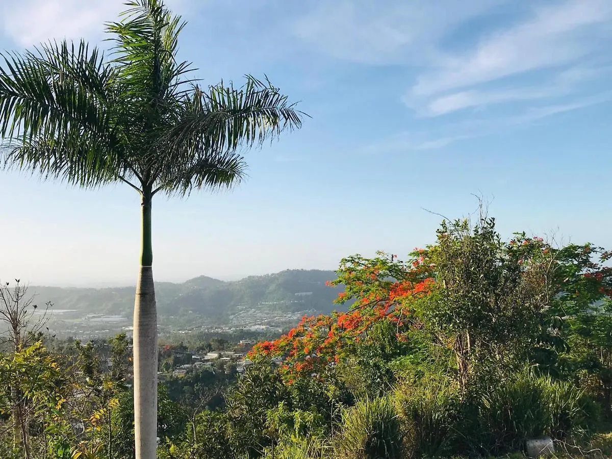 Campsite Camping Para Dos - A Escoger Segun Disponibilidad De Caseta O Cabana Caguas Puerto Rico