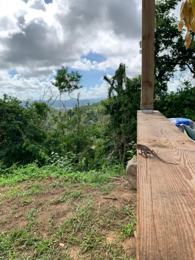 Camping Para Dos - A Escoger Segun Disponibilidad De Caseta O Cabana Caguas Puerto Rico